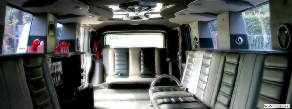 Hummer interni1