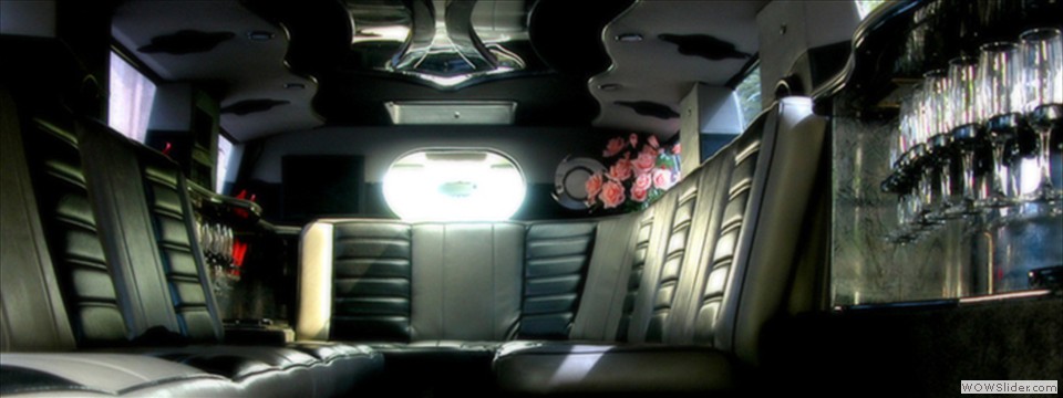 Hummer interni2