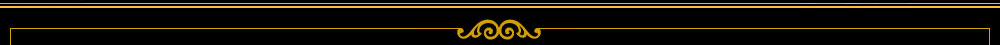 noleggiolimousine
